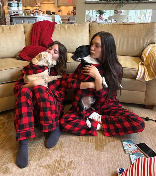 IMG 4223976b438498fd7358