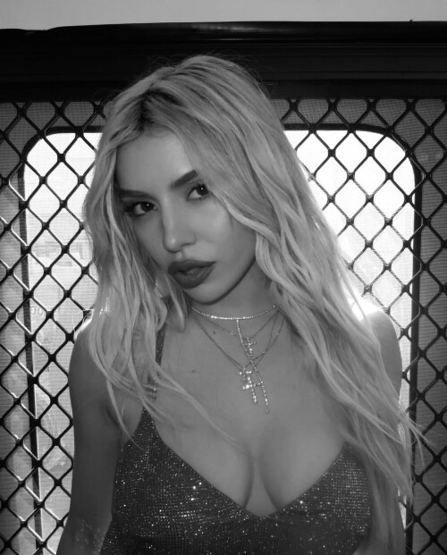 IMG 4262d48fe83693f81689