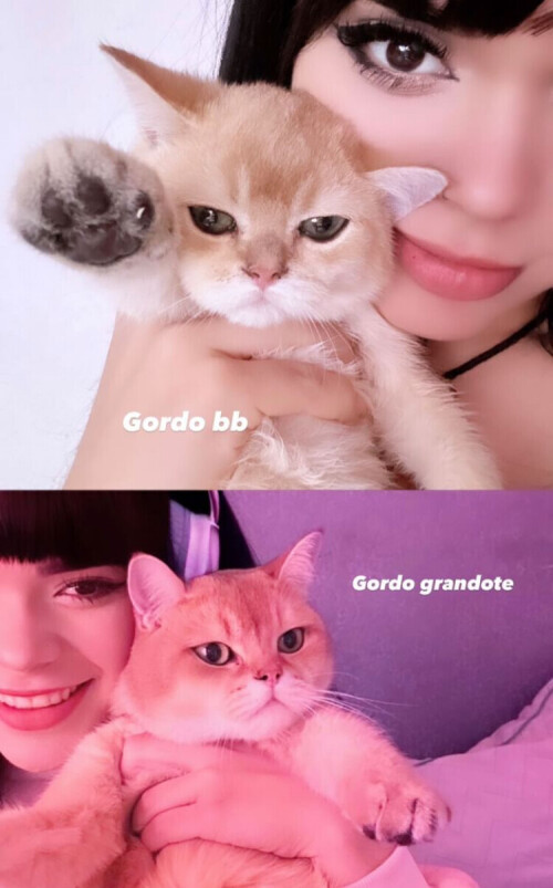 IMG 426920ecbb91519ee600