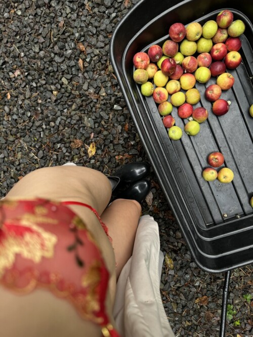 IMG 42905dbb0ab804790b45