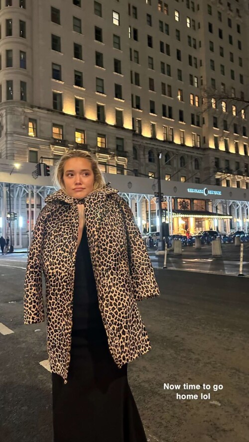 IMG 463861968b604f3e3587