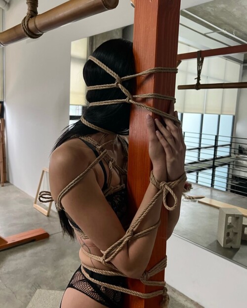 IMG 46831b509c378d88b9af