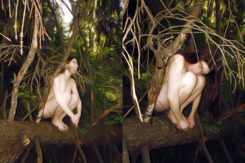 IMG 469875338ded769c786d