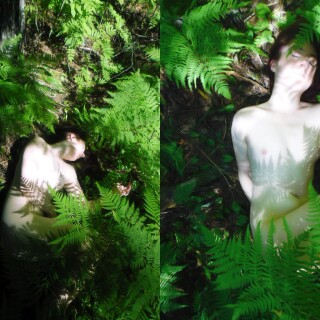 IMG_4699218664b869130dde