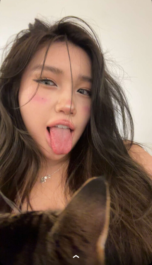 IMG 47573c012dffdfdd617c