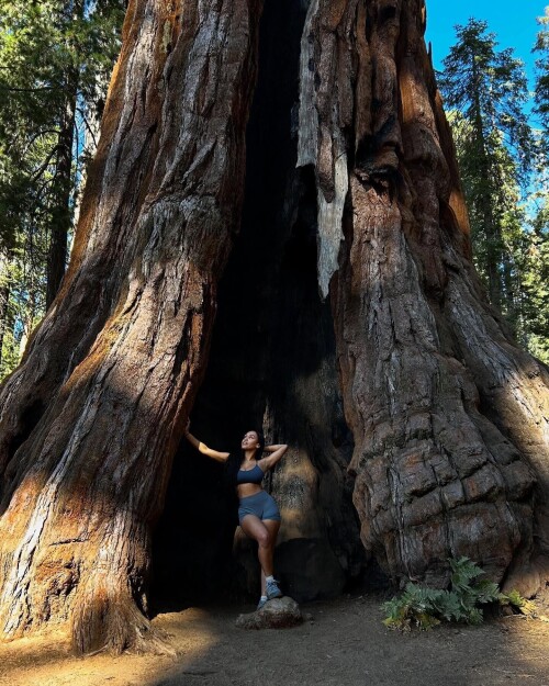 IMG 4758c4ae8785a63f7c76