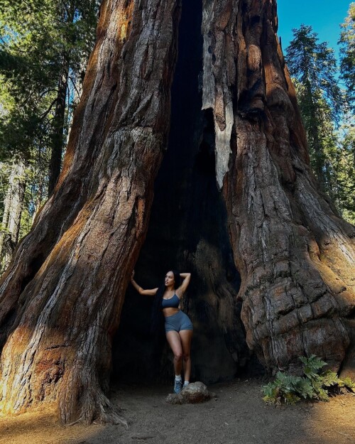 IMG 4759a9cc3ce670a19710