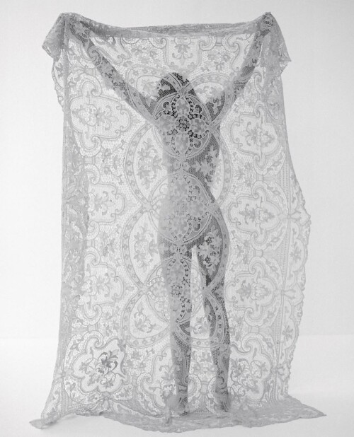 IMG 4759e611d63c9f84058a