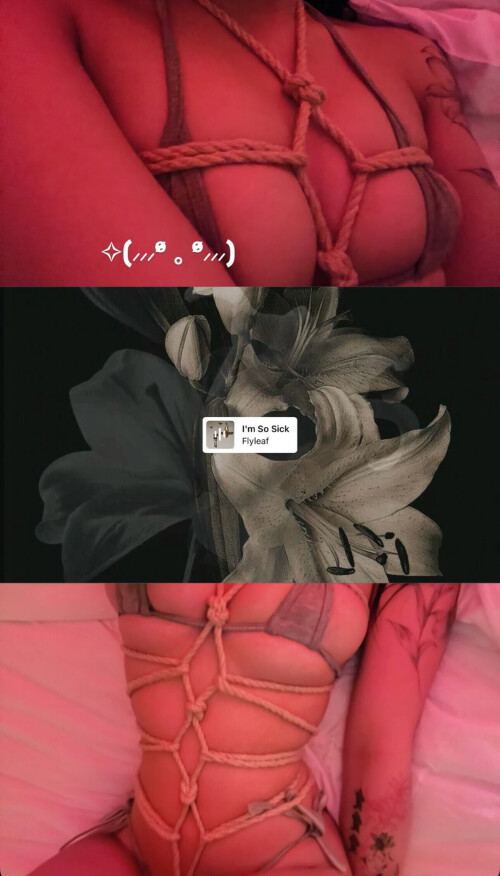 IMG 478265adf19ed0c10c52