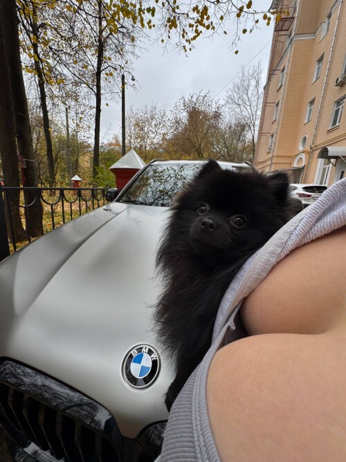 IMG 4853931b212bb15d6d5a