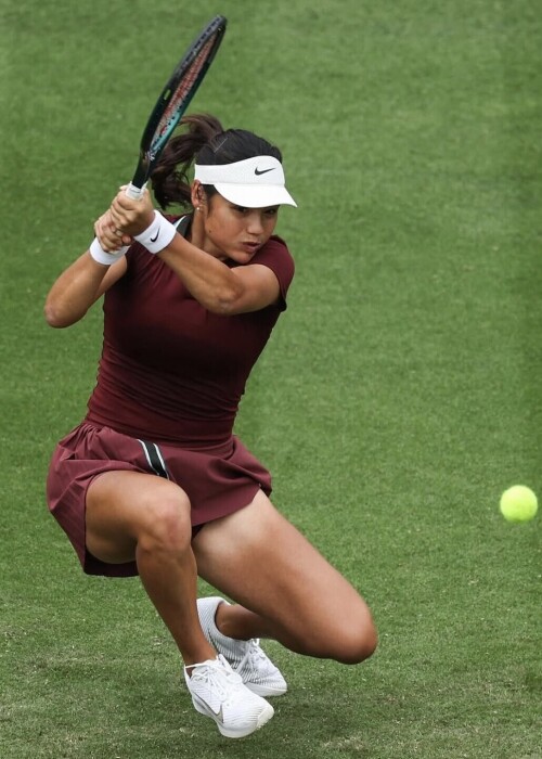 IMG 4906fb6a5925e9463489