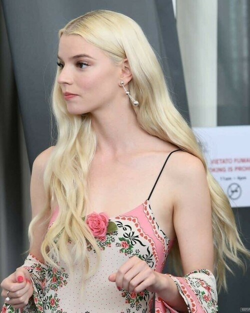 IMG 4923d09391c371c98c91