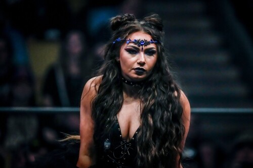 IMG 4937dda9ac483eae9f66