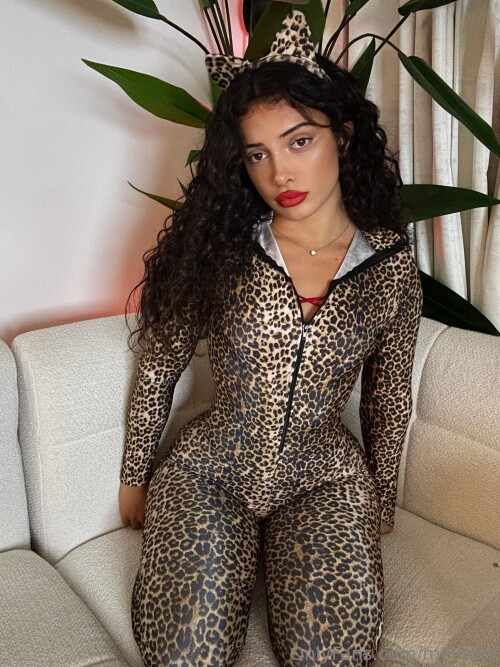 IMG 4952405aa60909d22502