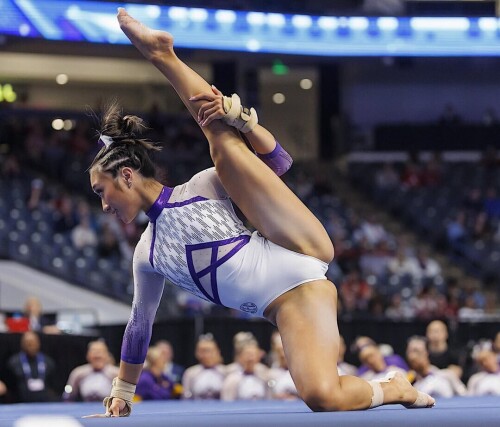 IMG 49587fb6b6ad1ce1ee2f