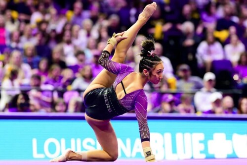 IMG 49675024ecea386a7fee