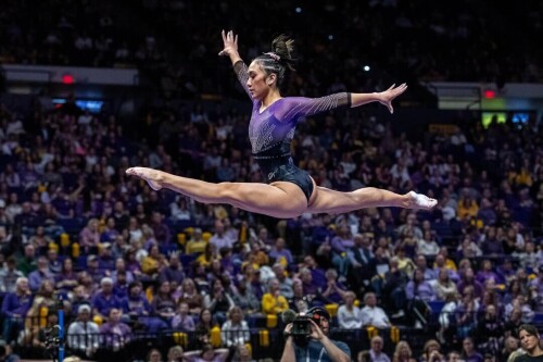 IMG 4973d812b52d6ec6f454