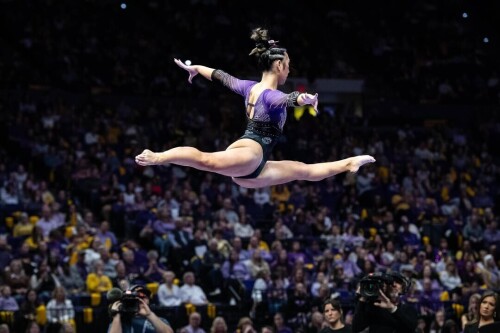 IMG 497997bf6590ed688b7f