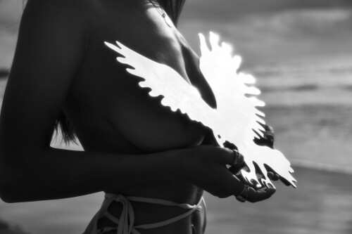 IMG 4981.jpeg.0b34d06049cd31940e0d857a6a17a8cb11ed7478bec2cc43