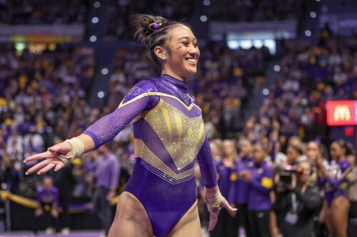 IMG 499330acd6164f5c3aec