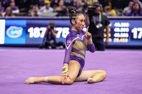 IMG 4994860306d82156fe77