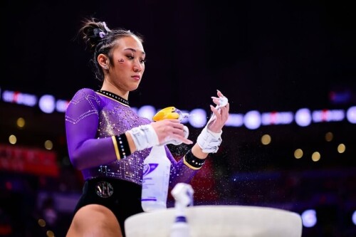 IMG 49987aac7bfdbc4d7c39