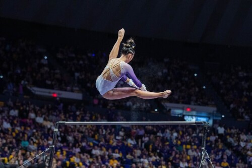 IMG 501166bf3af66f68ff30