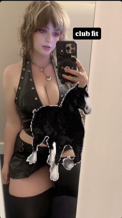 IMG 5070d40f39554c10b779