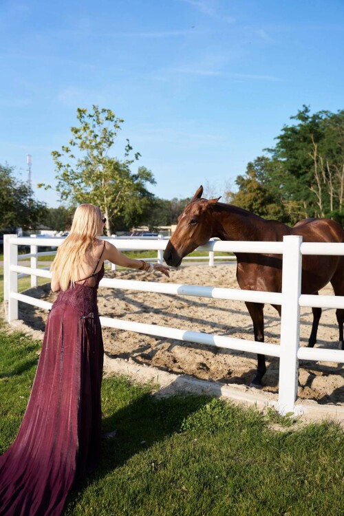 IMG 50748018b0191b6987ae