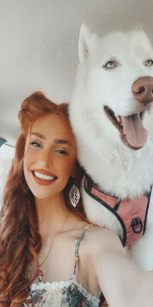 IMG_508697acb38ac0695a65