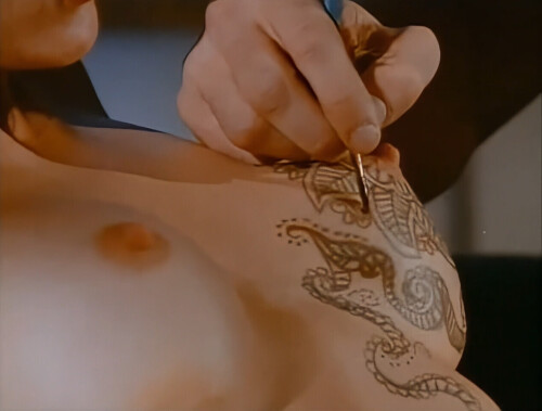 IMG 5089b413d64fc6cbeff0