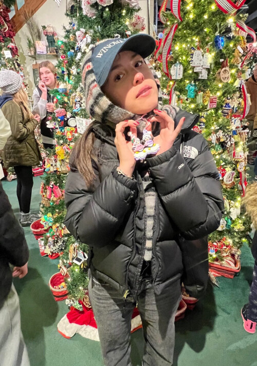 IMG 517829de670ab5d01ae5