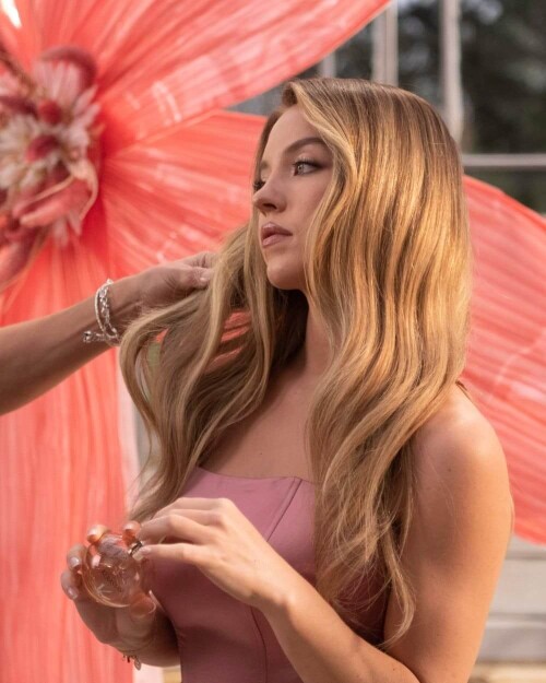 IMG 5183877d2e374062a640