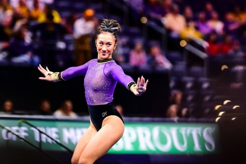 IMG 51913fb801897390d6f9