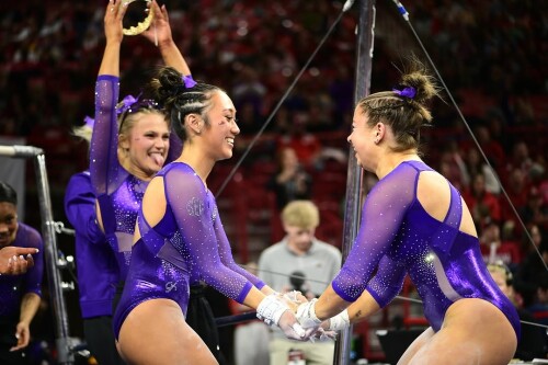 IMG 519339d86343bce681f5