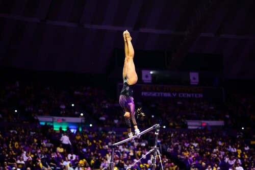 IMG 5194c28d3166e919775a