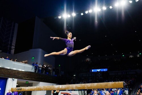 IMG 51971dc7dee271c3e6de