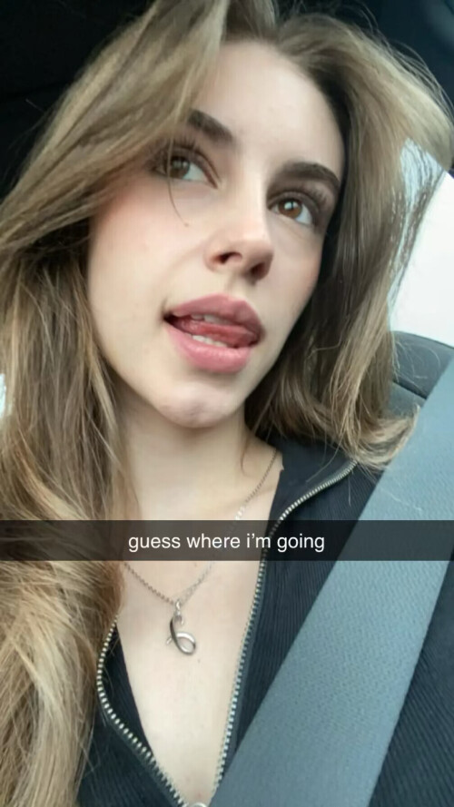 IMG 5205dfc5f642386d657c