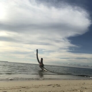 IMG_52110e20d957876058e3