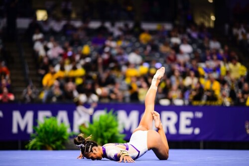 IMG 5215b3cf3349e3fbbe55