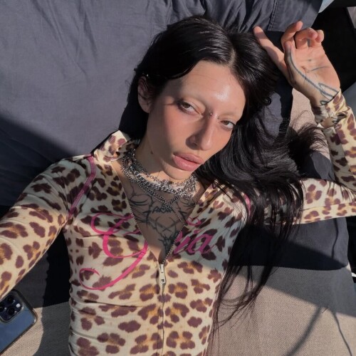 IMG 524833bc49eb44cdde4c