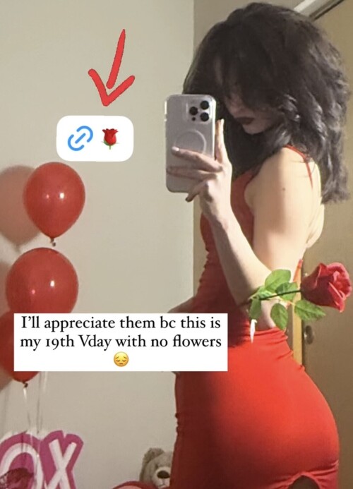 IMG 52748ed1f8ca0f64545f