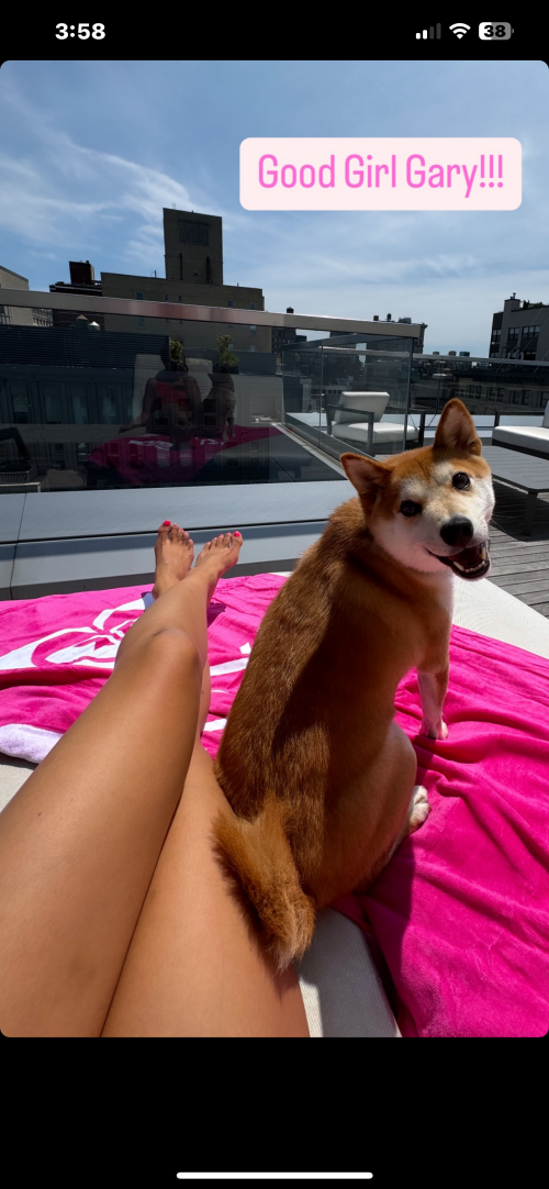 IMG_5284fedec39eb7ce7eb9