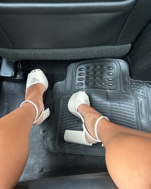 IMG 529754a21941d1fee14c