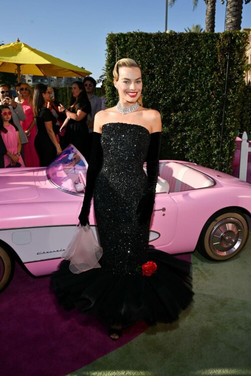 IMG 5337cb73a5bd33559f6c