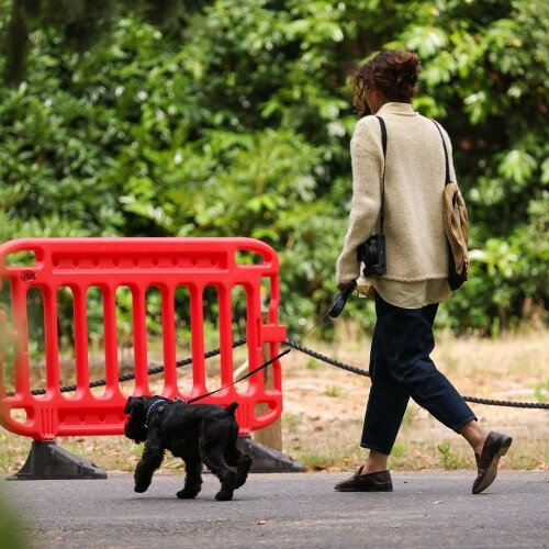 IMG 5341f8d34c2959f2431e