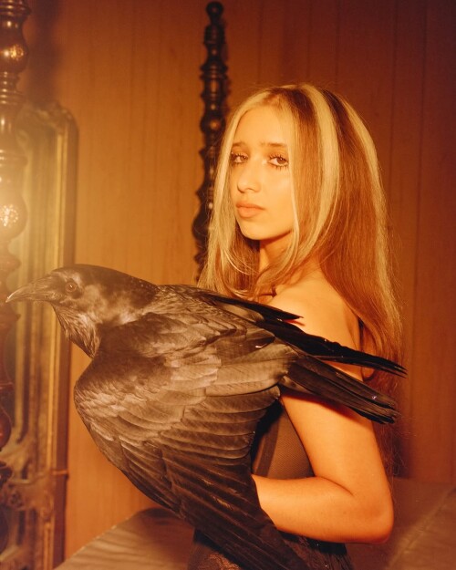 IMG 54231bc86d25003b6471