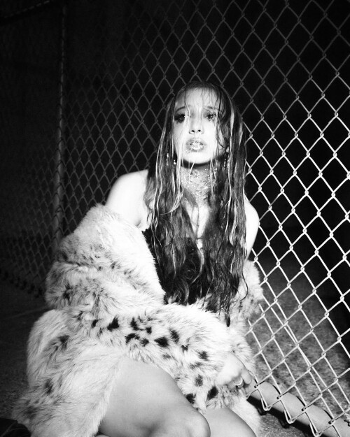 IMG 5429f323f68fc7ad4811