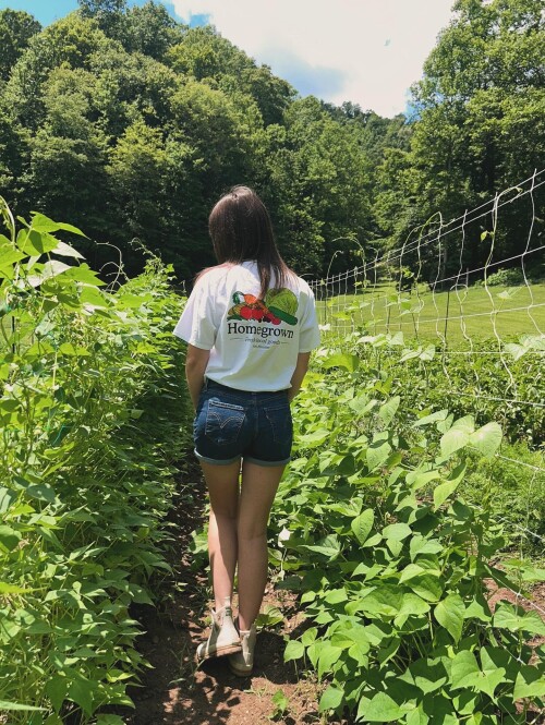 IMG 54965c37ba4380a48f7a