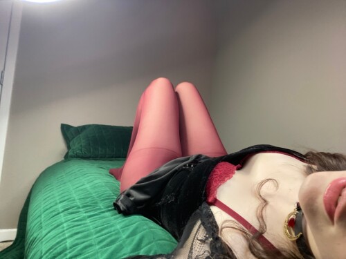 IMG 5558323bdbcedd68a498